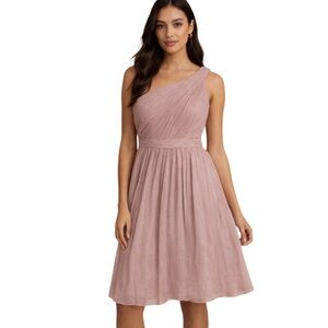 J. Crew One Shoulder Pleated Silk Chiffon Mini Dress